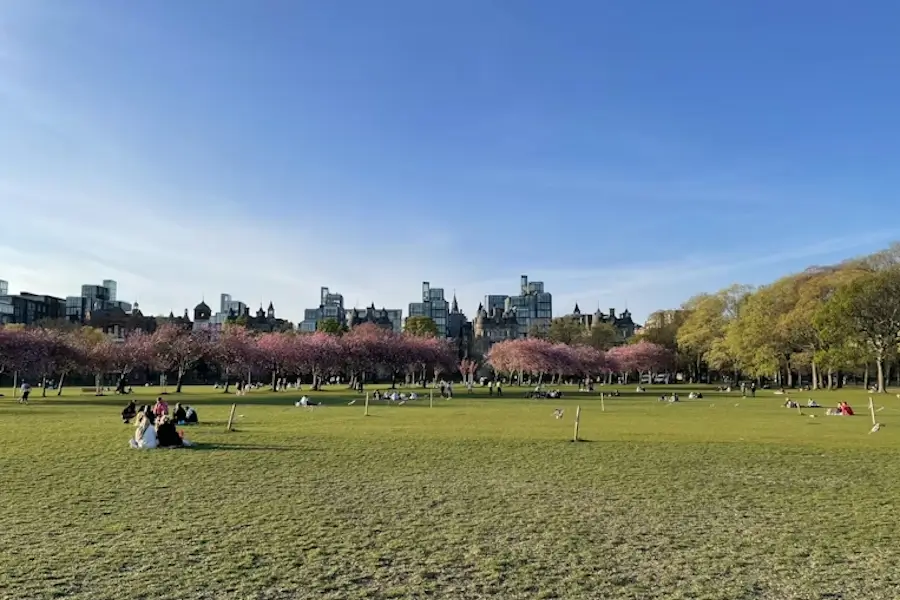 The Meadows Edinburgh free green open spaces on a sunny day, with open lawns, people sitting on the grass, and spring blossom trees lining the park near the Old Town